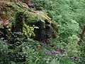 Der Neidlinger Wasserfall bei geringer Wasserführung