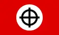Neonaziflagge mit Keltenkreuz