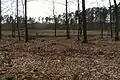 Kesselmoor im Oldenburger Holz bei Nepzin