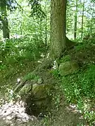 Mauerrest. Wilde Grabung im Südwesten