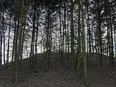 Burgstall von Osten (Zugang)