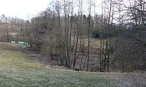 Wolfsbach (Gusen) beim Burgstall