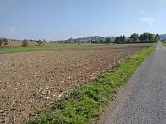 Neubrunn vom Mühlbachtal aus