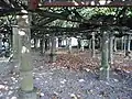 Lindenanlage von Neuenstadt am Kocher