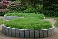 Das erste neugestaltete Beet für den "Duftgarten"