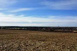 Blick auf Neufarn