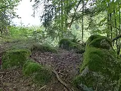 Hochburgplateau. Granitfelsen