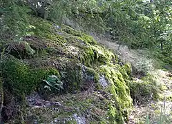 Hochburgplateau. Eingestemmte "Stufen"