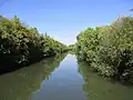 Die Nidda vom Willi-Petri-Steg fotografiert