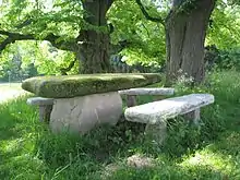 Steinerner Tisch