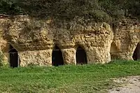 Doggerfelswand aus Eisensandstein bei Pilsach/Oberpfalz