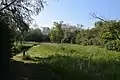 Wiese im Naturschutzgebiet