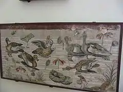 Nil-Vögel