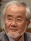 Yoshinori Ōsumi