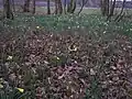 Frühling an der Kantonsgrenze