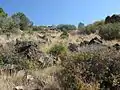 Typische Landschaft in unberührter Natur