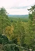 Blick über den Nationalpark Norra Kvill