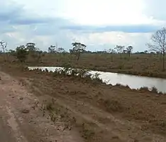 Ruta 8 nördlich von Santa Rosa de Yacuma