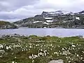 Hochland am Snøvegen