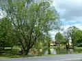 Dorfweiher in der Ortsmitte