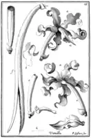 Tafel 28:„Vanilla“