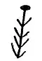 Etak Ntaña Nsibidi
