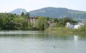 Nuolen