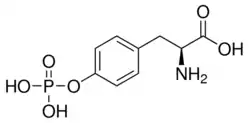 Strukturformel von O-Phospho-L-tyrosin