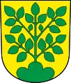 Wappen von Oberbuchsiten