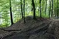 Ringwallanlage Oberburghof Burggraben links vom Eingang