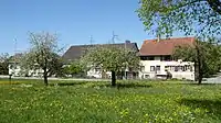 Oberbussnang