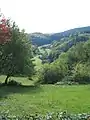 Südlich des Weschnitzdurchbruchs schnitt sich der Brombach in den Zwischenzone-Trommgranit-Berghang zwischen Eselstein (links) und Erzberg (rechts) ein.
