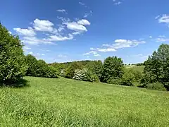 Abwechslungsreiche Landschaftsstruktur im NSG