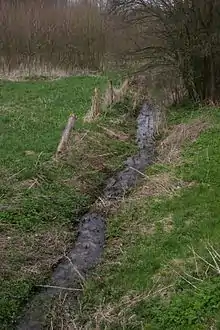 Die Nette im Quellgebiet in Ostercappeln-Oberhaaren