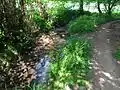 Bachlauf