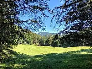 Almgelände mit Almhütte der Oberhofener Weißachalm