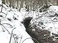 Brunnenquelle