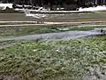 Im Hungerbrunnen sprudelt das Wasser an verschiedenen Stellen direkt aus der Wiese