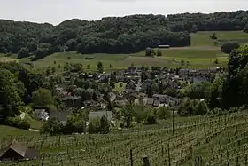 Blick auf Obermupf vom Rebberg unterhalb der Trumleste