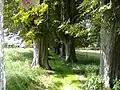 Blick von der Schlossseite