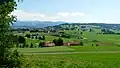 Oberreute