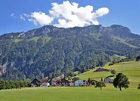 Oberschönenbuch mit Fronalpstock