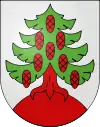 Wappen von Obersteckholz