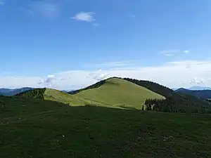 Von Südwesten betrachtet erscheint der Ochsenkogel nur als eine kleine Erhöhung auf der Brendlalm …
