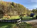 Pferdeweide an der Odenhollermühle und der Großen Dhünn