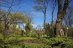 Botanischer Garten Odessa