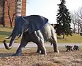 Derrick Stephan Hudson: Tembo
