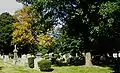 Der Friedhof mit Bäumen