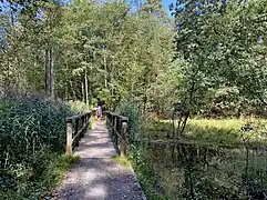Besucherweg im NSG