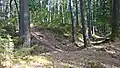 Heutiger „Zugangsbereich“ an der SW-Ecke vom Höhenweg aus (s. Karte Pkt. 8)